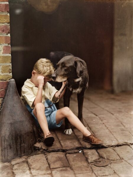 Photographie historique colorisée de 1921 montrant un petit garçon en pleurs, assise sur un banc en pierre et réconfortée par un chien de berger posant sa tête sur son épaule.
