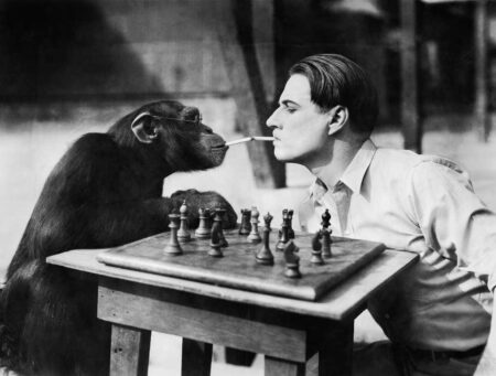Affiche vintage noir et blanc montrant un chimpanzé portant des lunettes et un homme élégant face à un plateau d'échecs, partageant l'allumage d'une cigarette dans une ambiance de studio des années 30.
