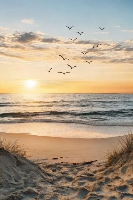 Affiche plage coucher soleil montrant une vue depuis des dunes de sable vers une mer calme, avec un vol d'oiseaux dans un ciel orangé et lumineux au crépuscule.
