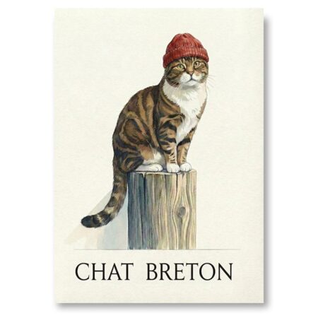Illustration d'un chat tigré assis sur un poteau en bois, portant un bonnet rouge de marin style Cousteau, avec le texte CHAT BRETON en bas de l'image sur fond clair.