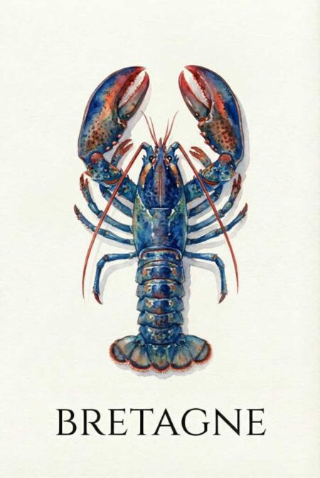 Illustration à l'aquarelle d'un homard bleu vu de dessus, avec des touches orangées sur les pinces et la queue. Le mot 'BRETAGNE' est inscrit en capitales noires en bas sur un fond blanc cassé.