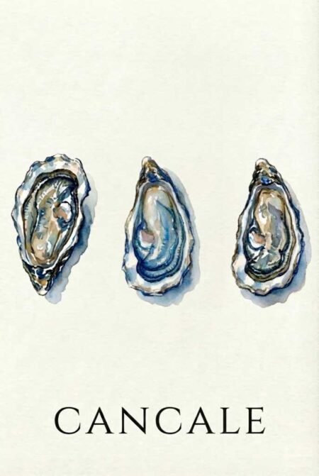 Affiche Huitres de Cancale : Illustration style aquarelle de trois huîtres ouvertes alignées horizontalement, avec le texte "CANCALE" en noir en bas, sur fond crème texturé.