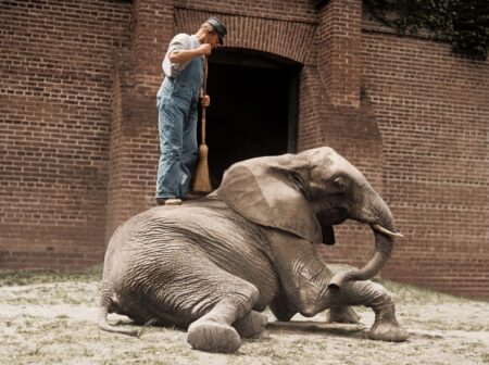 Test-produit saint malo (Copie) (Copie)