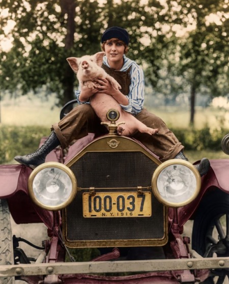 Affiche cochon vintage :Photographie d'époque colorisée de 1916 montrant une jeune femme en salopette assise sur le capot d'une voiture ancienne Stutz à New York, tenant un petit cochon.